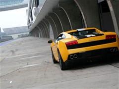 ֮  gallardo 2010 lp550-2